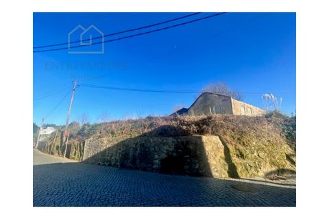 Terra a Grijo, Porto, Grijo - € 190.000 | Ref: TER_2660 - foto 6