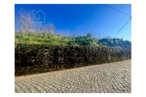 Terra a Grijo, Porto, Grijo - € 190.000 | Ref: TER_2660 - foto 8