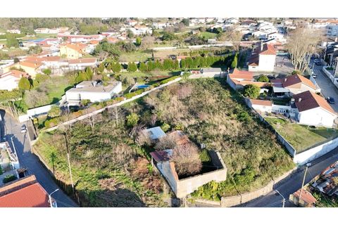 Terra a Grijo, Porto, Grijo - € 190.000 | Ref: TER_2660 - foto 9