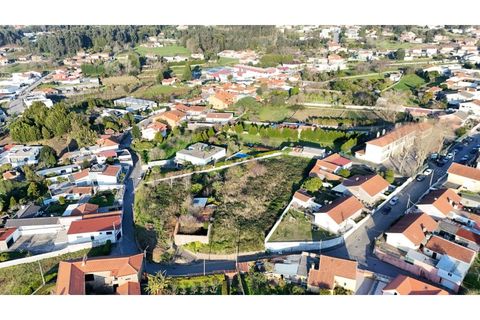 Terra a Grijo, Porto, Grijo - € 190.000 | Ref: TER_2660 - foto 13