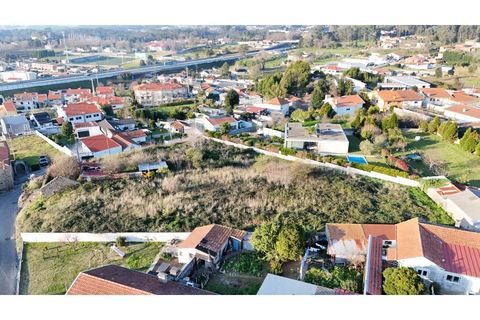 Terra a Grijo, Porto, Grijo - € 190.000 | Ref: TER_2660 - foto 15