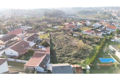 Terra a Grijo, Porto, Grijo - € 190.000 | Ref: TER_2660 - foto 18