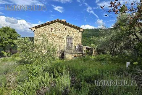 Landejendom i Monterchi, Arezzo, Monterchi - € 230.000 | Ref: 610 - foto 2