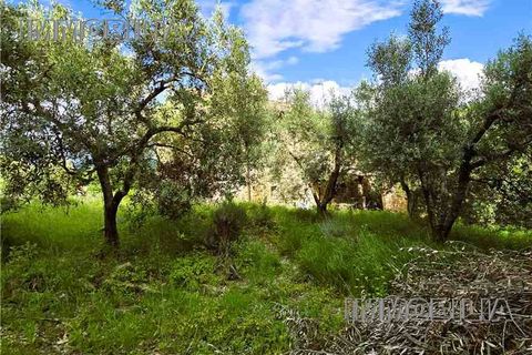 Landejendom i Monterchi, Arezzo, Monterchi - € 230.000 | Ref: 610 - foto 3