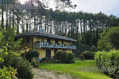 Erhvervsejendom i Arezzo, Arezzo, Arezzo - € 500.000 | Ref: 609 - foto 3
