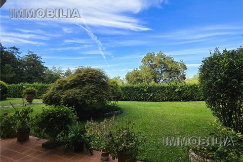 Erhvervsejendom i Arezzo, Arezzo, Arezzo - € 500.000 | Ref: 609 - foto 4