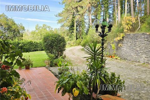 Erhvervsejendom i Arezzo, Arezzo, Arezzo - € 500.000 | Ref: 609 - foto 6