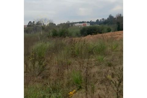 Helårsgrund i Espinho, Aveiro, Espinho - € 800.000 | Ref: TER_2154 - foto 7