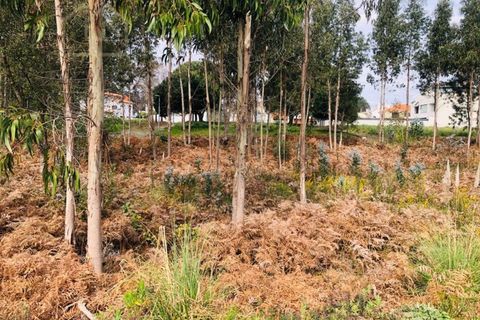 Helårsgrund i Espinho, Aveiro, Espinho - € 220.000 | Ref: PAR_2149 (2) - foto 1