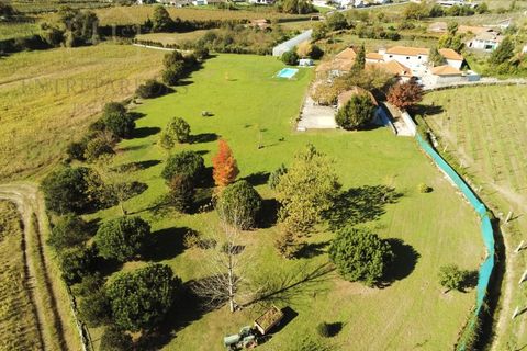 Farm i Paredes, Porto, Paredes - € 2.500.000 | Ref: MAS_1862 - foto 4