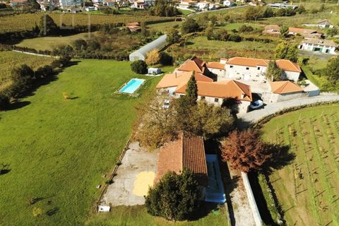 Farm i Paredes, Porto, Paredes - € 2.500.000 | Ref: MAS_1862 - foto 5
