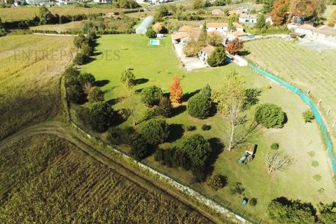 Farm i Paredes, Porto, Paredes - € 2.500.000 | Ref: MAS_1862 - foto 6