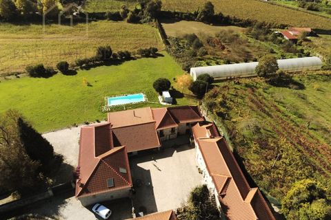 Farm i Paredes, Porto, Paredes - € 2.500.000 | Ref: MAS_1862 - foto 7