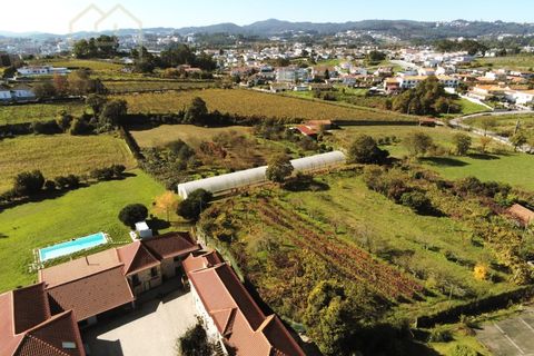 Farm i Paredes, Porto, Paredes - € 2.500.000 | Ref: MAS_1862 - foto 11