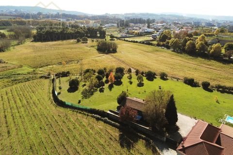 Farm i Paredes, Porto, Paredes - € 2.500.000 | Ref: MAS_1862 - foto 13