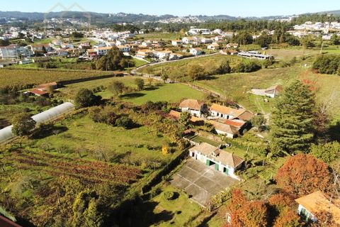 Farm i Paredes, Porto, Paredes - € 2.500.000 | Ref: MAS_1862 - foto 14