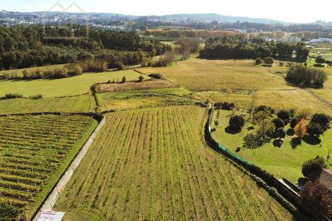 Farm i Paredes, Porto, Paredes - € 2.500.000 | Ref: MAS_1862 - foto 15