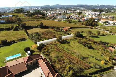 Farm i Paredes, Porto, Paredes - € 2.500.000 | Ref: MAS_1862 - foto 17