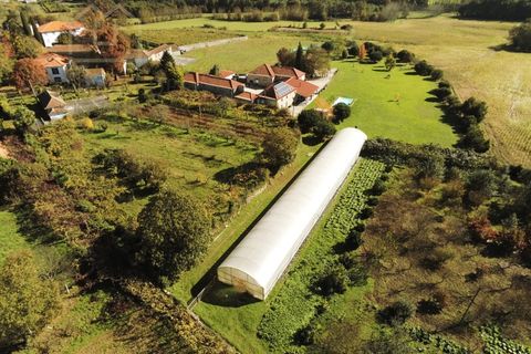 Farm i Paredes, Porto, Paredes - € 2.500.000 | Ref: MAS_1862 - foto 20