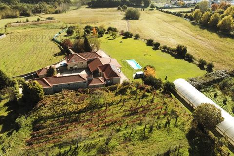 Farm i Paredes, Porto, Paredes - € 2.500.000 | Ref: MAS_1862 - foto 21