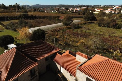 Farm i Paredes, Porto, Paredes - € 2.500.000 | Ref: MAS_1862 - foto 31