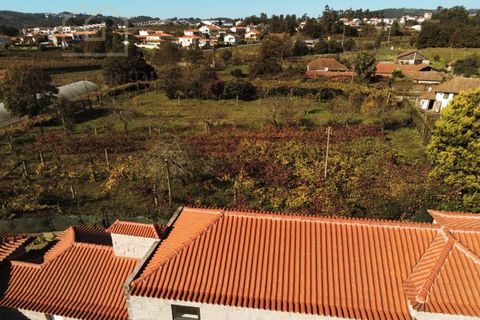 Farm i Paredes, Porto, Paredes - € 2.500.000 | Ref: MAS_1862 - foto 32