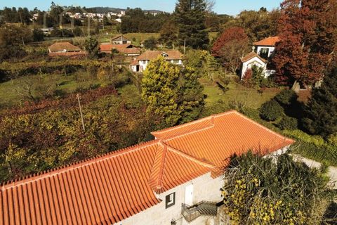 Farm i Paredes, Porto, Paredes - € 2.500.000 | Ref: MAS_1862 - foto 35