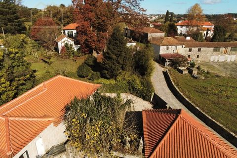 Farm i Paredes, Porto, Paredes - € 2.500.000 | Ref: MAS_1862 - foto 36