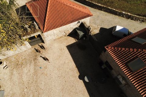 Farm i Paredes, Porto, Paredes - € 2.500.000 | Ref: MAS_1862 - foto 38