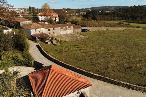 Farm i Paredes, Porto, Paredes - € 2.500.000 | Ref: MAS_1862 - foto 39