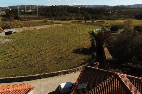 Farm i Paredes, Porto, Paredes - € 2.500.000 | Ref: MAS_1862 - foto 41