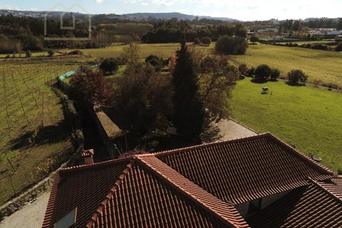 Farm i Paredes, Porto, Paredes - € 2.500.000 | Ref: MAS_1862 - foto 43