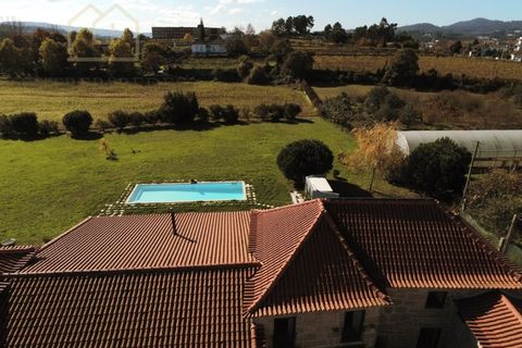 Farm i Paredes, Porto, Paredes - € 2.500.000 | Ref: MAS_1862 - foto 45