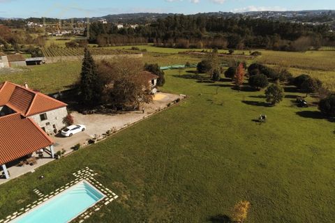 Farm i Paredes, Porto, Paredes - € 2.500.000 | Ref: MAS_1862 - foto 48