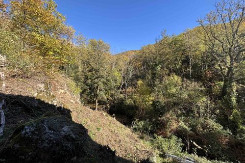 Villa a Saint-Roman-de-Codières, Gard, Saint-Roman-de-Codières - € 480.000 | Ref: 1517 - foto 21