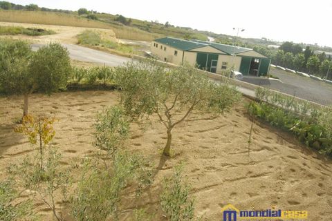 Villa i Pachino, Siracusa, Pachino - € 70.000 | Ref: Lucky - foto 9