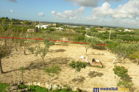 Villa i Pachino, Siracusa, Pachino - € 70.000 | Ref: Lucky - foto 10