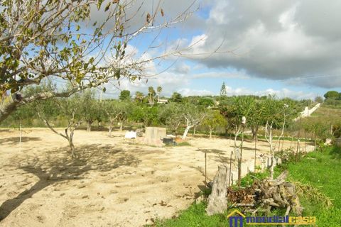 Villa i Pachino, Siracusa, Pachino - € 70.000 | Ref: Lucky - foto 11