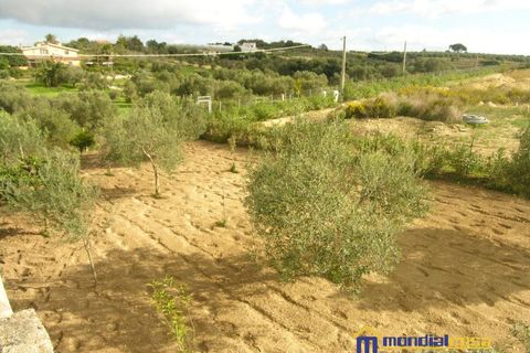 Villa i Pachino, Siracusa, Pachino - € 70.000 | Ref: Lucky - foto 12