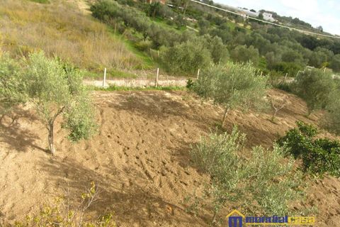 Villa i Pachino, Siracusa, Pachino - € 70.000 | Ref: Lucky - foto 13