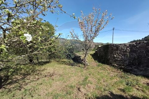 Villa i Arcos de Valdevez, Viana do Castelo, Arcos de Valdevez - € 135.000 | Ref: 126371005-123 - foto 24