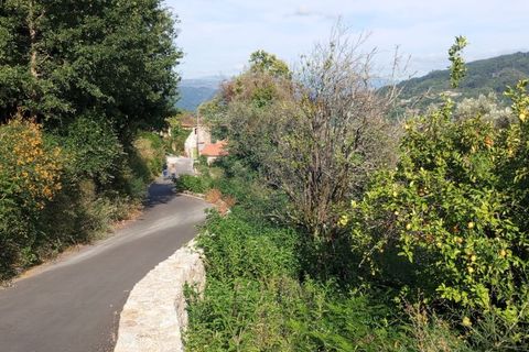 Landejendom i Arcos de Valdevez, Viana do Castelo, Arcos de Valdevez - € 37.500 | Ref: 1074-127 - foto 3