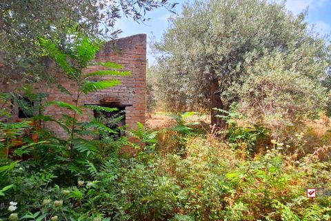 Landejendom i Messina, Messina, Messina - € 36.000 | Ref: VSP329 - foto 2
