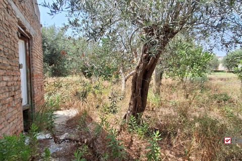 Landejendom i Messina, Messina, Messina - € 36.000 | Ref: VSP329 - foto 4