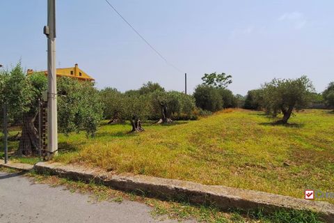 Landejendom i Messina, Messina, Messina - € 36.000 | Ref: VSP329 - foto 8