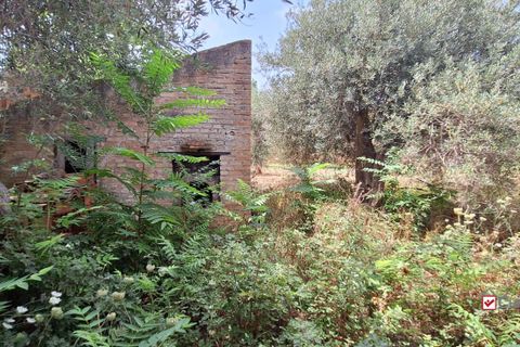 Landejendom i Messina, Messina, Messina - € 36.000 | Ref: VSP329 - foto 9
