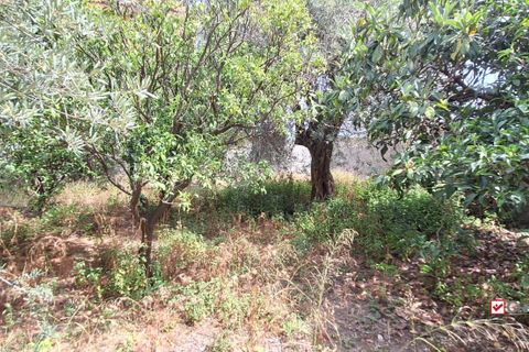 Landejendom i Messina, Messina, Messina - € 36.000 | Ref: VSP329 - foto 11