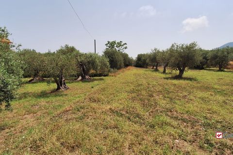 Landejendom i Messina, Messina, Messina - € 36.000 | Ref: VSP329 - foto 12