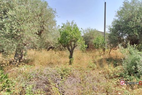 Landejendom i Messina, Messina, Messina - € 36.000 | Ref: VSP329 - foto 14