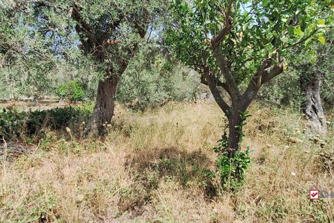 Landejendom i Messina, Messina, Messina - € 36.000 | Ref: VSP329 - foto 15